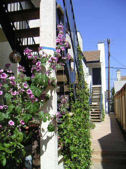 Building Photo - 4357 Cleveland Ave Unit 204