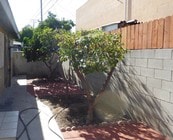 Photo - 455 W Elk Ave Unit A