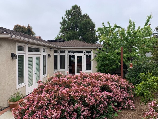 Building Photo - Adorable Remodeled 3 Bedroom home in Point...