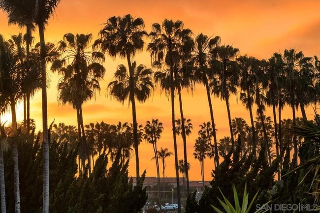 Photo - 8001 Calle De La Plata