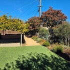 Backyard - 334 Calor Dr