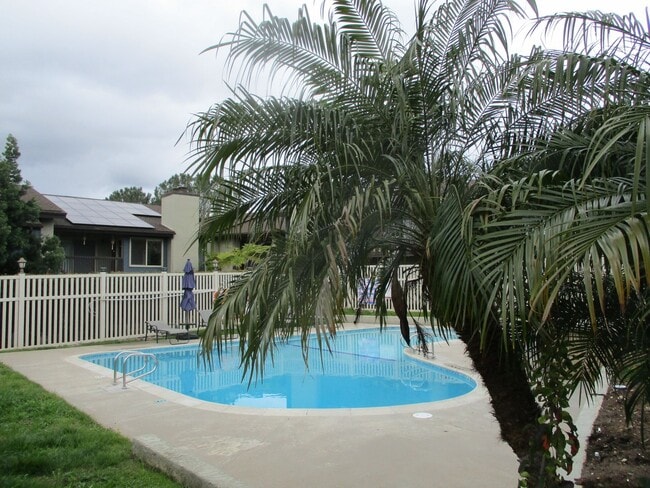 Building Photo - Mission Valley Newly Remodeled 2 Bdr 2 Bat... Rental