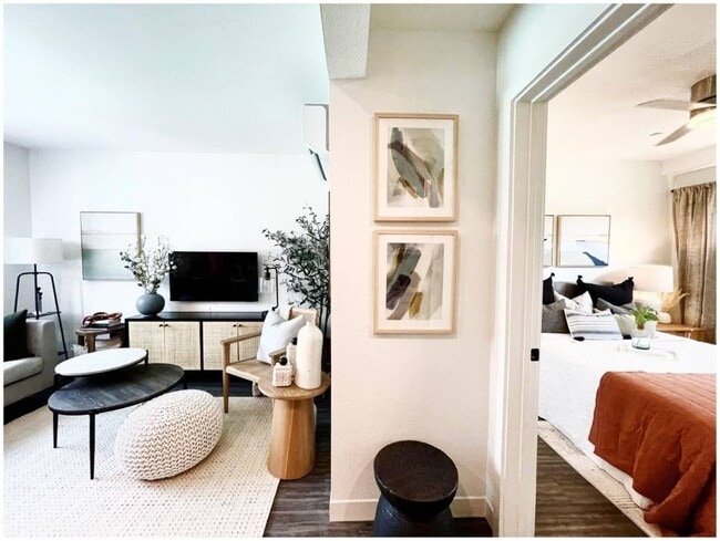 Bedroom Living Room Combo - Santa Monica Palms