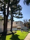 Photo - Coral Pines Apartments