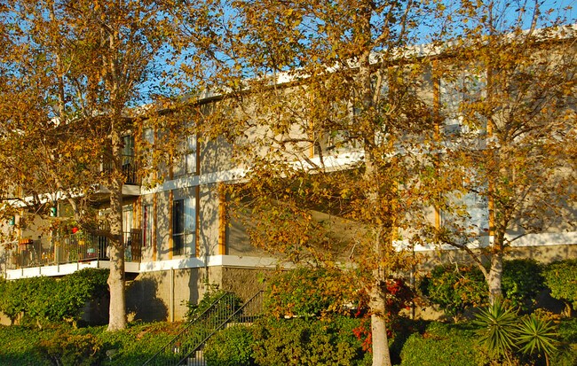 Photo - Villa Marquette