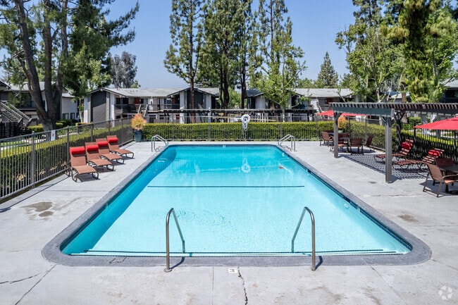 Photo - Portola Redlands