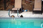 Photo - 1410 W Lambert Rd Condo Unit 203