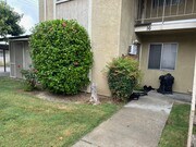 Photo - 10912 Rincon St Apartments Unit 10914