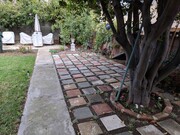Back Yard/Unit Entrance - 1921 Graham Ave House