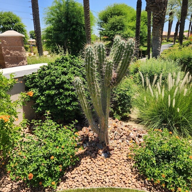 Photo - 44010 Royal Troon Dr