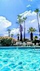 Large swimmers pool with mountain views - 3715 E Calle de Ricardo Apartments Unit 3