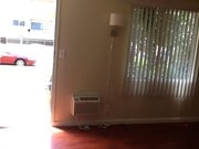 Photo - 3720 Westwood Blvd Apartments Unit 8