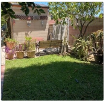 Backyard - 1845 Junipero Ave Unit Front Room