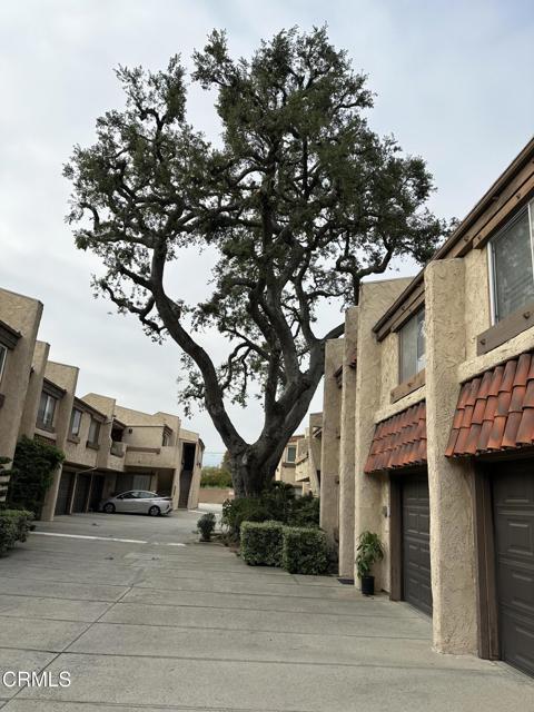 Photo - 327 E Live Oak St Townhome
