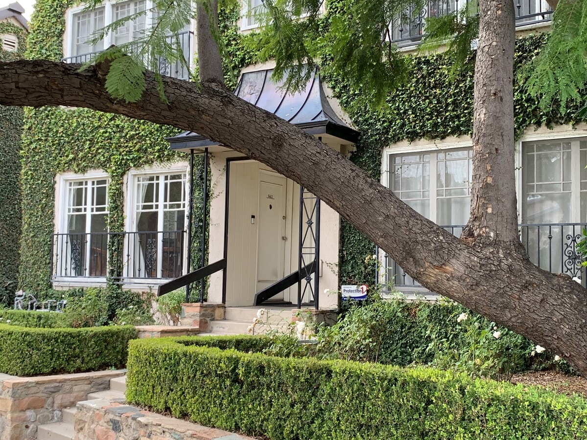 Photo - 639 N Windsor Blvd Apartments Unit 639.5