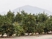 Photo - 1720 San Bernardino Ave