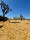 Photo - 1038 Alta Ave