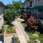 Photo - 220 E Live Oak St Apartment Unit 3
