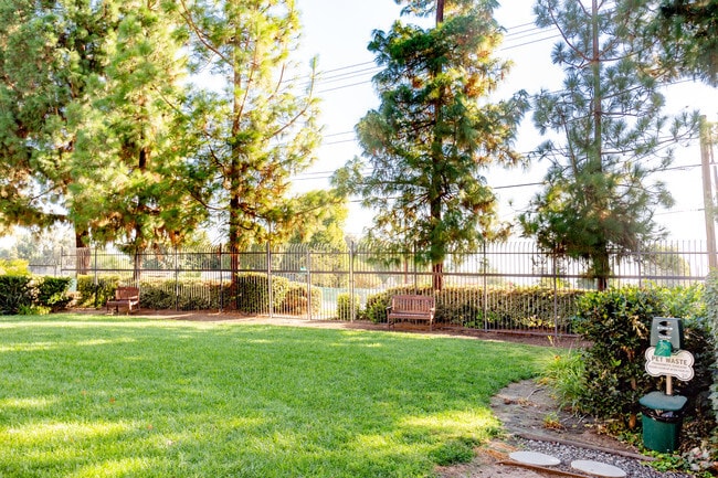 Dog Park - Stonewood Apartments