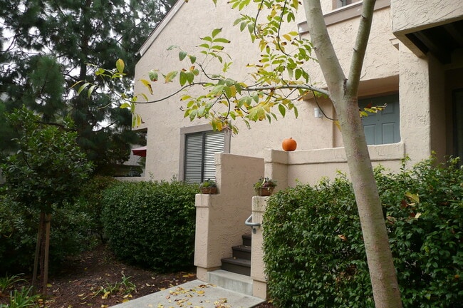 Photo - 8437 Via Mallorca