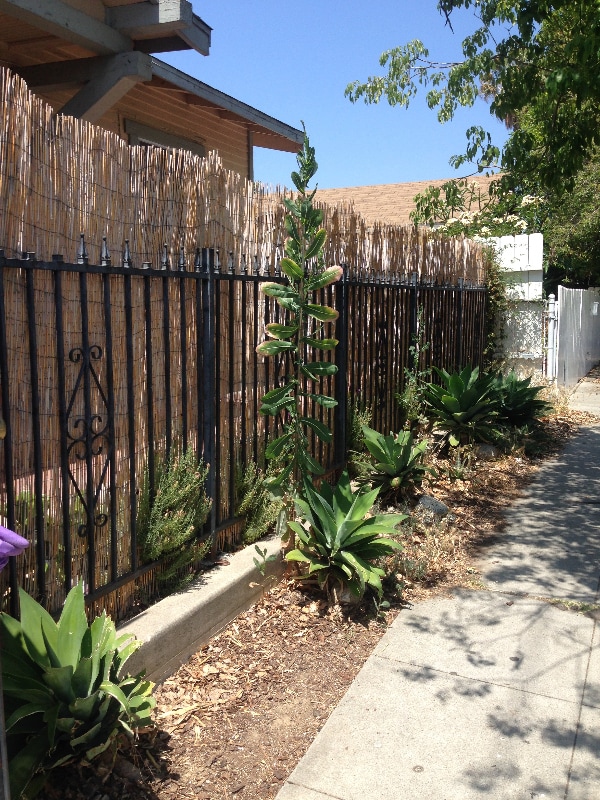 Photo - 1804 Bellevue Ave