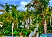 Photo - 4313 Mentone St Unit 4313 Mentone