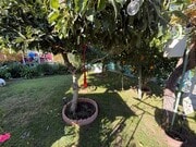 Photo - All-Inclusive Studio for Rent in Tarzana!