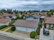 Photo - 8 Sparrowhawk