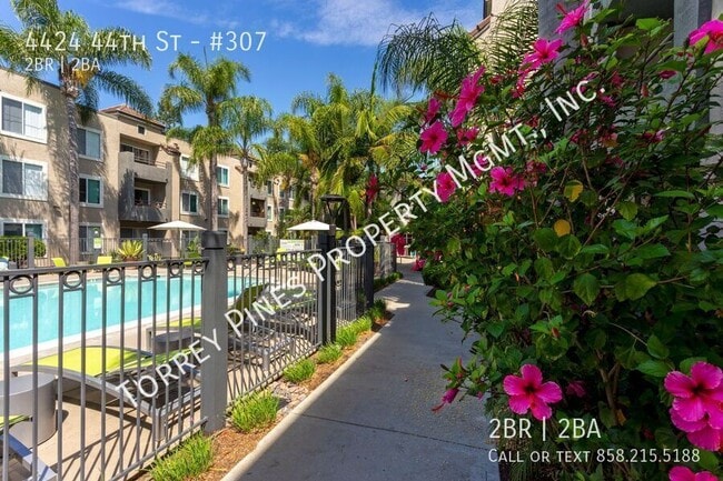 Building Photo - 4424 44th St Unit #307 Rental