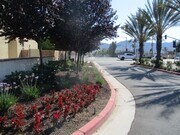 Photo - Murrieta 3 Bdr 2.5 Bath Town Home Built 2020