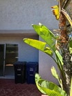 Photo - OPEN HOUSE Sat 08/16 1pm - 4 pm
Spacious 3...