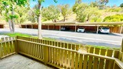 Photo - Light, Bright, and Lovely Ground Level Con... House