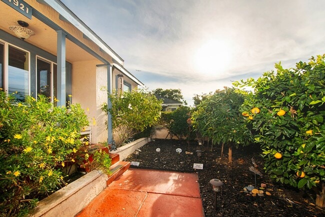 Photo - 1921 Rowan St