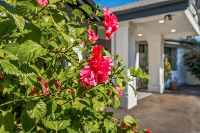 Photo - 1051 Via Rancho Pkwy