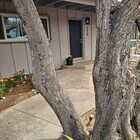 Photo - 777 Neptune Ave