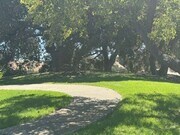 Photo - Beautiful Views and Private!!!