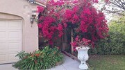 Photo - 36420 Cougar Pl