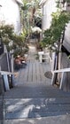 Front Steps - 1120 Sanborn Ave. House