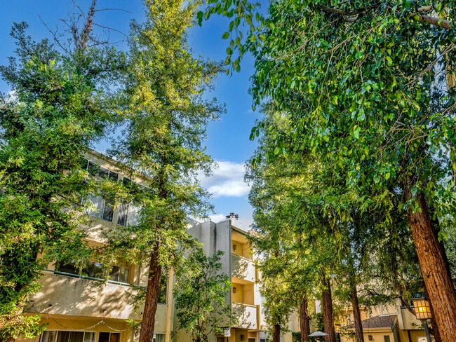 Photo - 7800 Topanga Canyon Blvd Unit #216