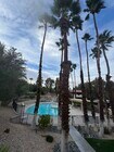 Photo - 2825 N Los Felices Rd Condo Unit 210