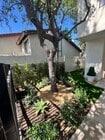 Photo - Thousand Oaks - 3 bedroom, 2.5 bath in the... House