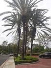 Photo - Great Location in Lake Forest House