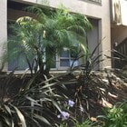 Photo - 151 W Glaucus St Unit B