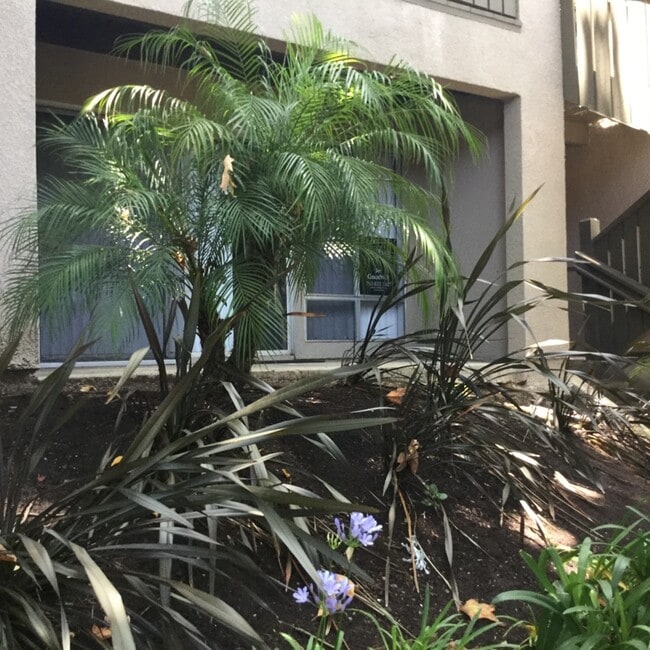 Photo - 151 W Glaucus St Unit B