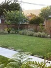 Lush front yard, gated - 286 N Kellogg Ave House