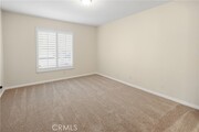 Photo - 26 Shadowplay