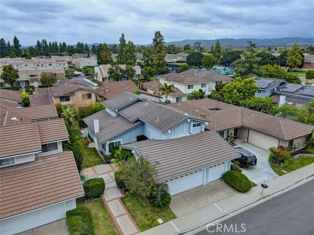 Photo - 8 Sparrowhawk