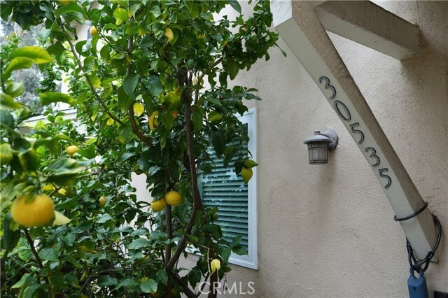 Photo - 30535 Canwood St