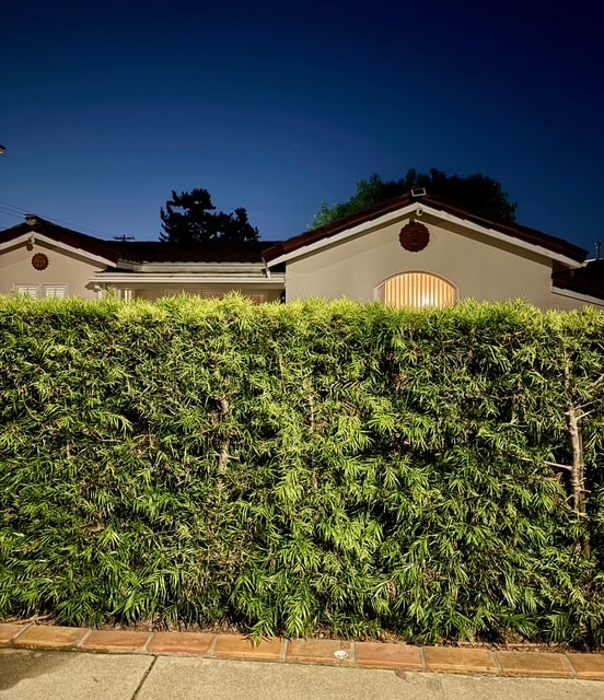 Photo - 2620 Graham Ave