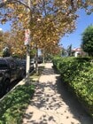 neighborhood view - 5841 W Olympic Blvd Unit 948 S Stanley Ave